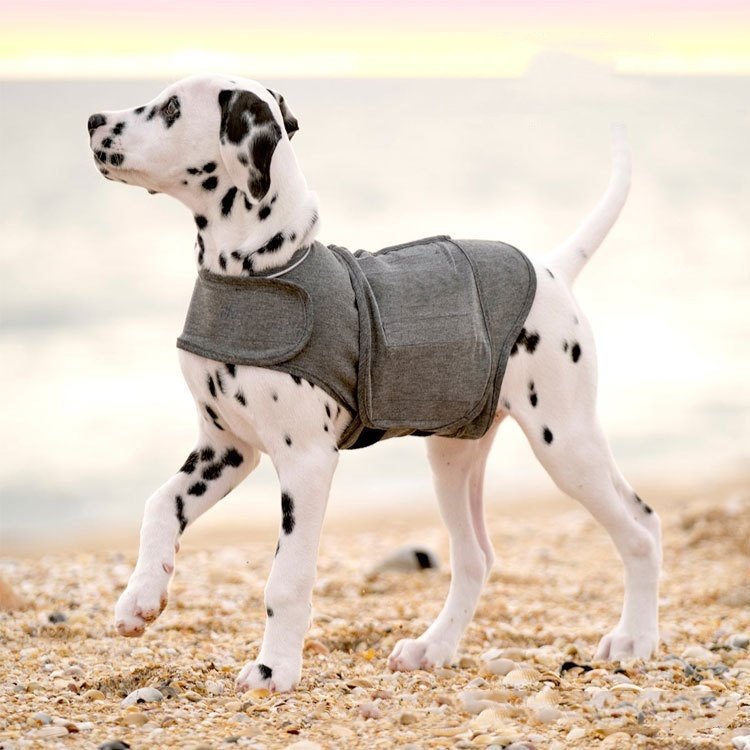 Smart Dog Jacket & Warm Vest
